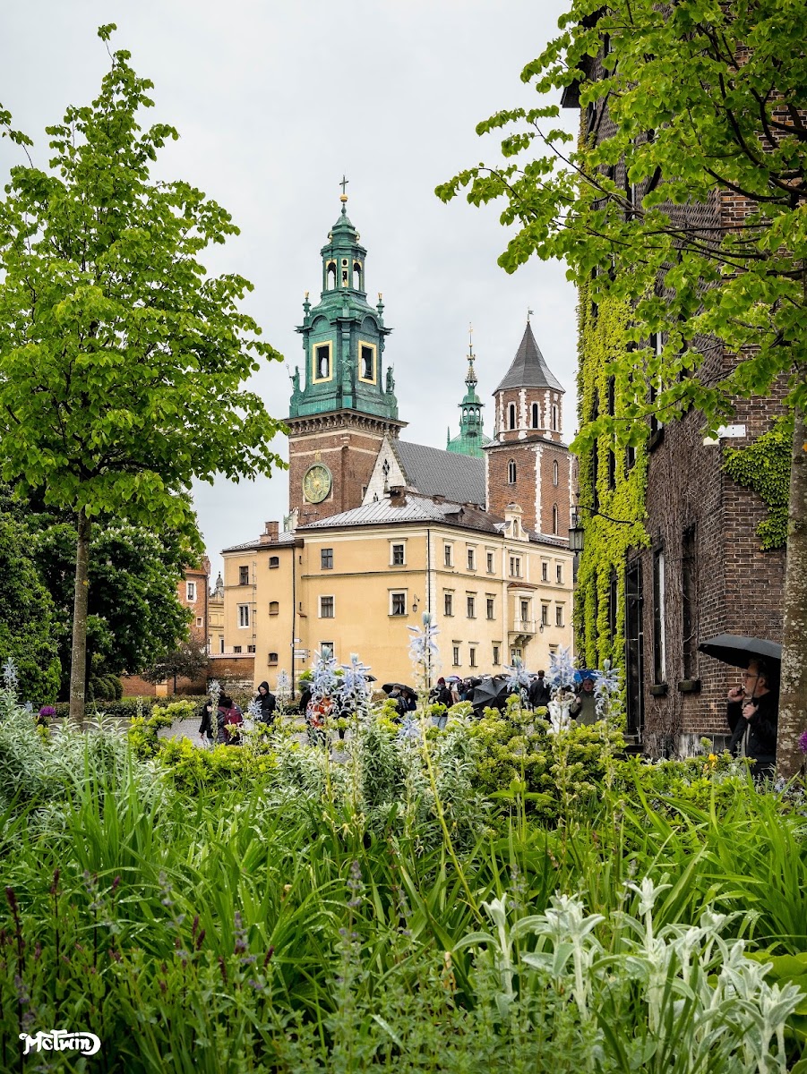 Wawel Cathedral — photo 3