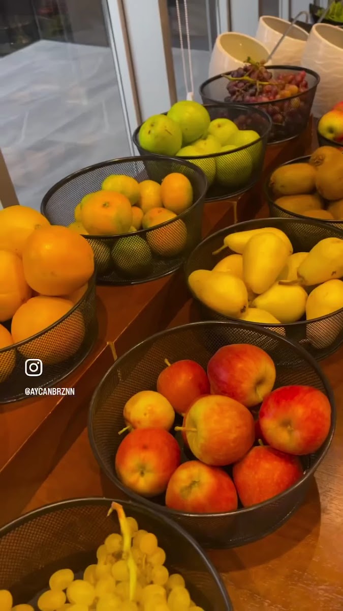 Willmont Hotel — fotoğraf 3