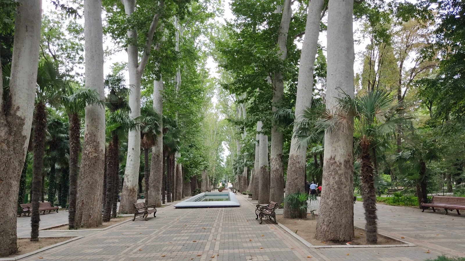 Xan Bağı — photo 3