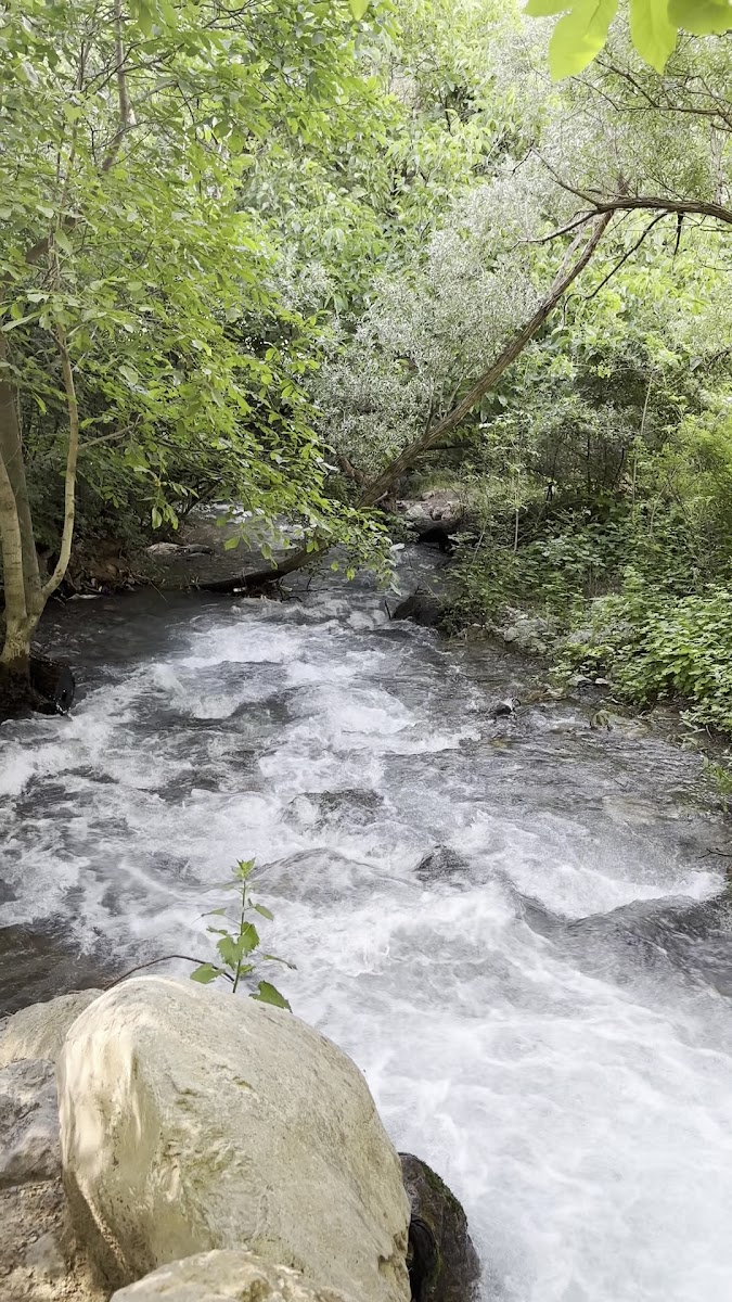 Yağmur Restoran — fotoğraf 3