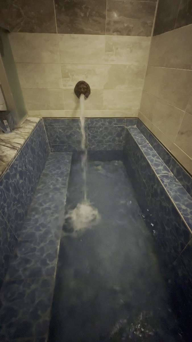 Yagona Termal & Spa — fotoğraf 3