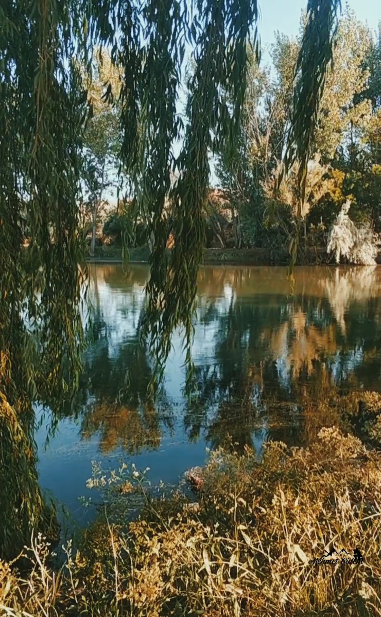 Yahşihan Park Mesire Alanı — fotoğraf 2