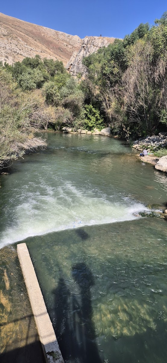 Yakamoz Balık Restoran — fotoğraf 1