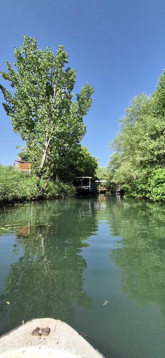 Yakamoz Dinlenme Tesisleri — fotoğraf 4