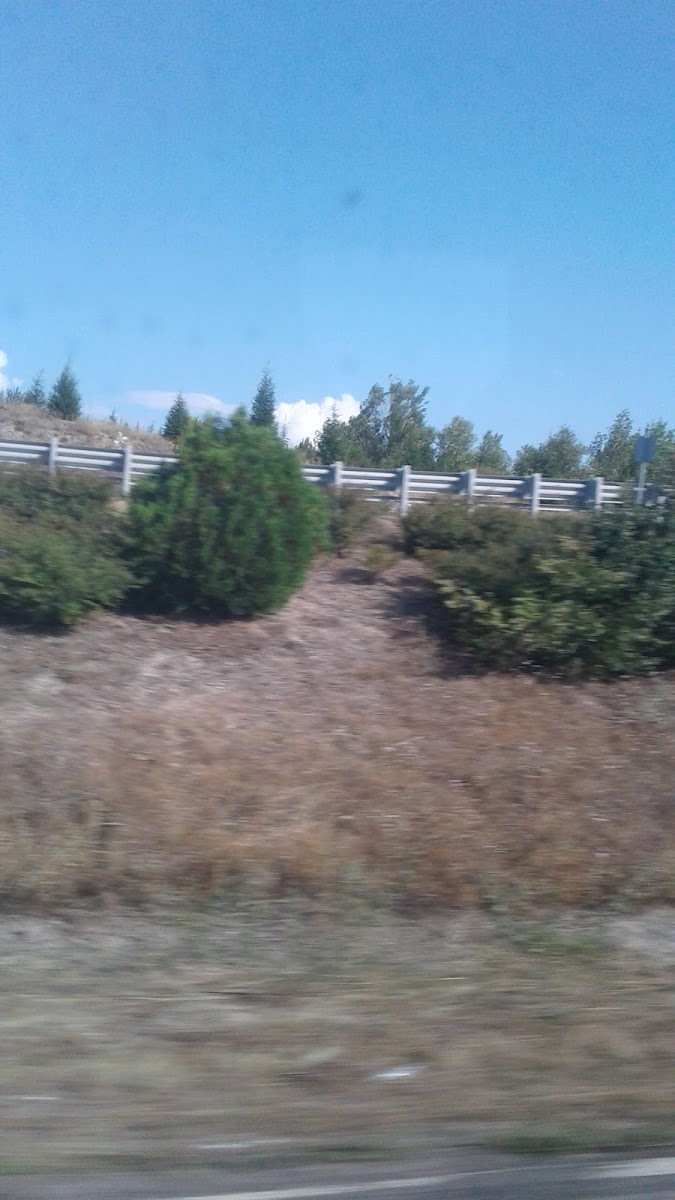 Yalçın Hotel — fotoğraf 2