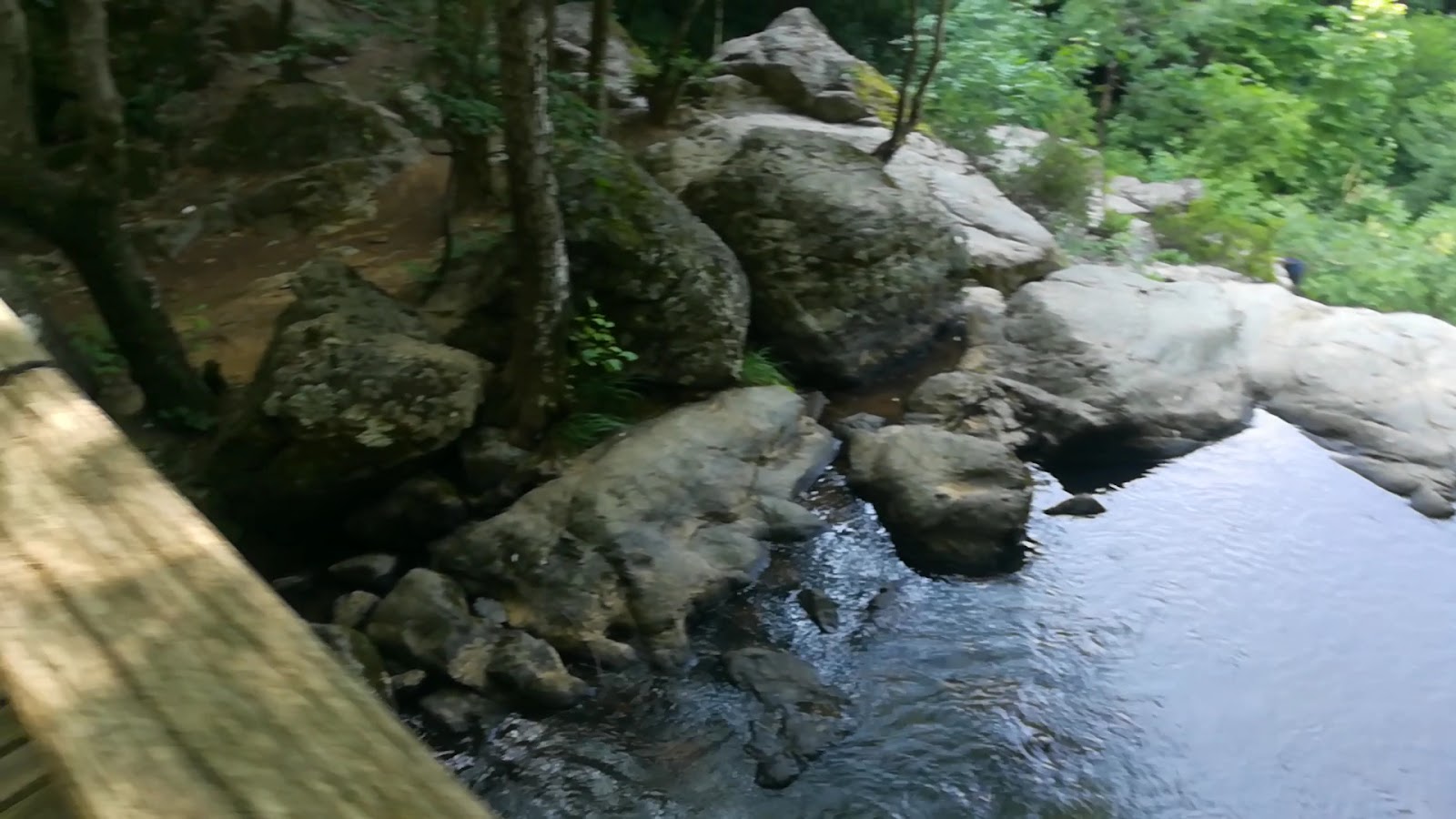 Yalova Kent Ormanı — fotoğraf 3