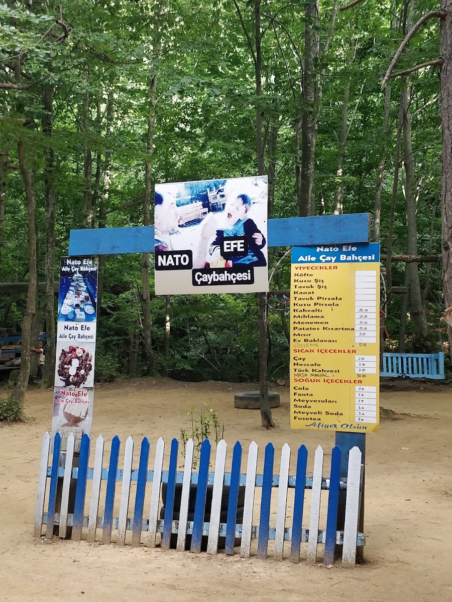 Yalova Kent Ormanı — fotoğraf 4