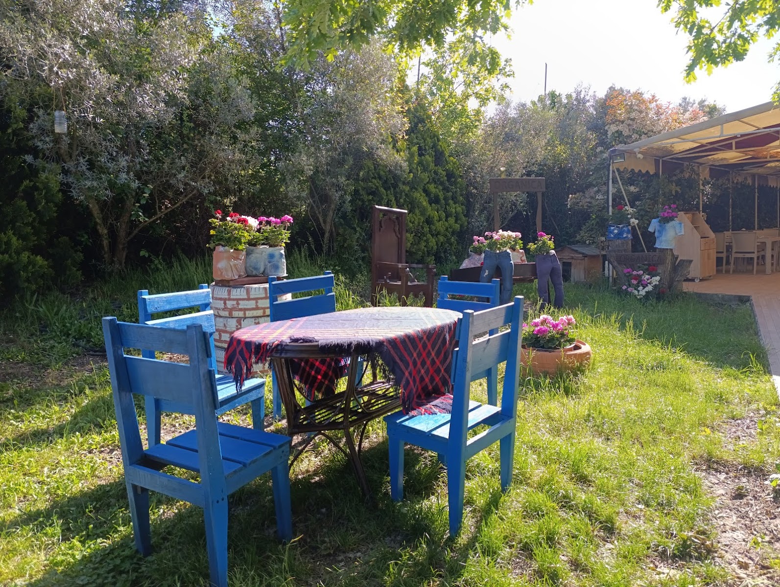 Yalova Organica Restaurant — fotoğraf 1