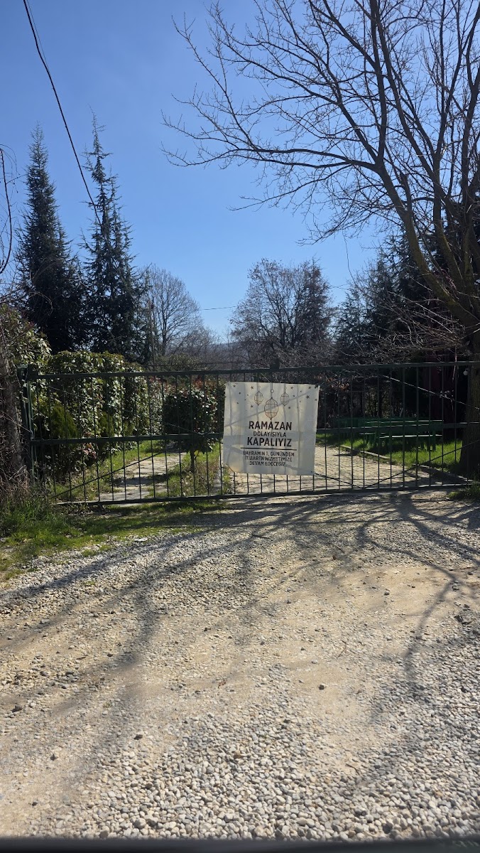 Yalova Organica Restaurant — fotoğraf 2