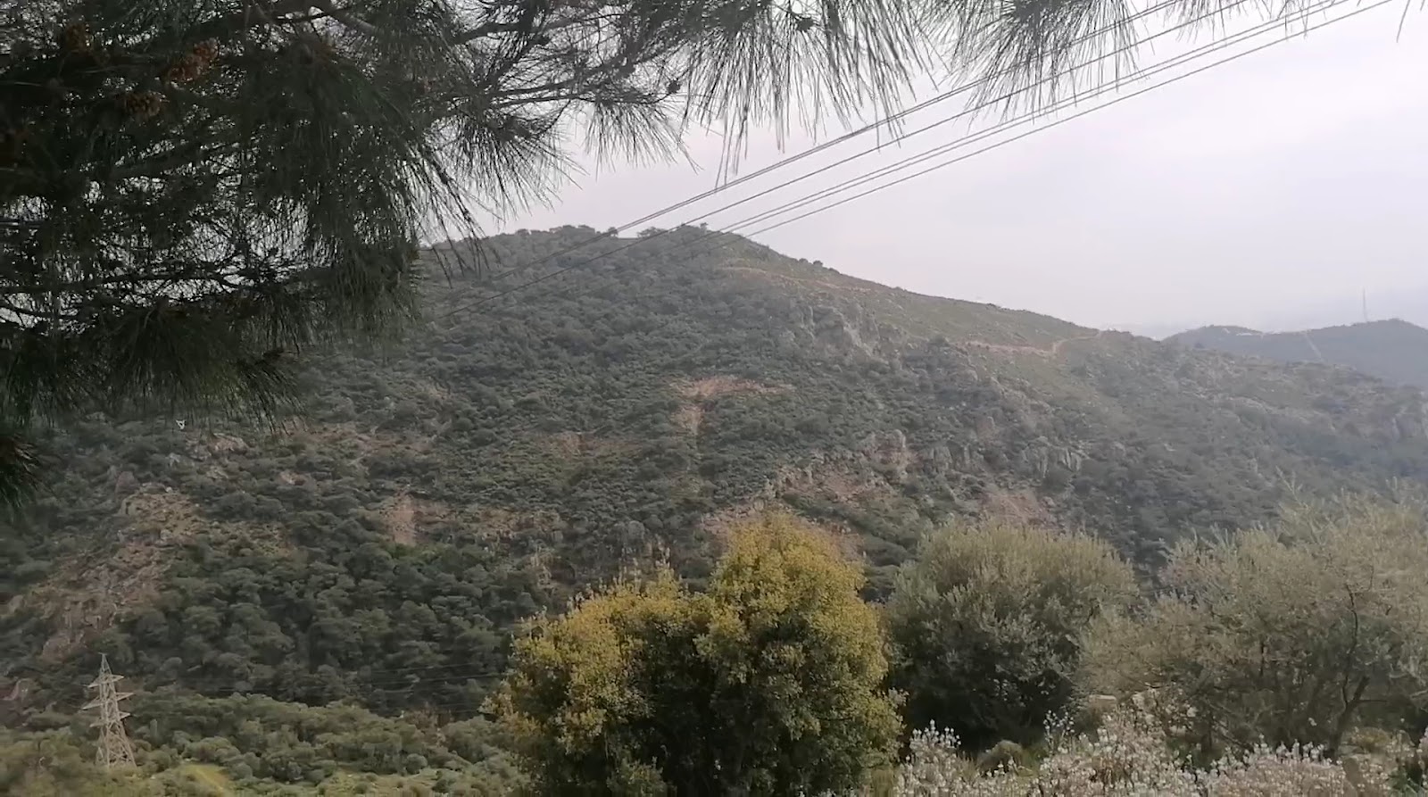 Yamanlar Dağı — photo 2