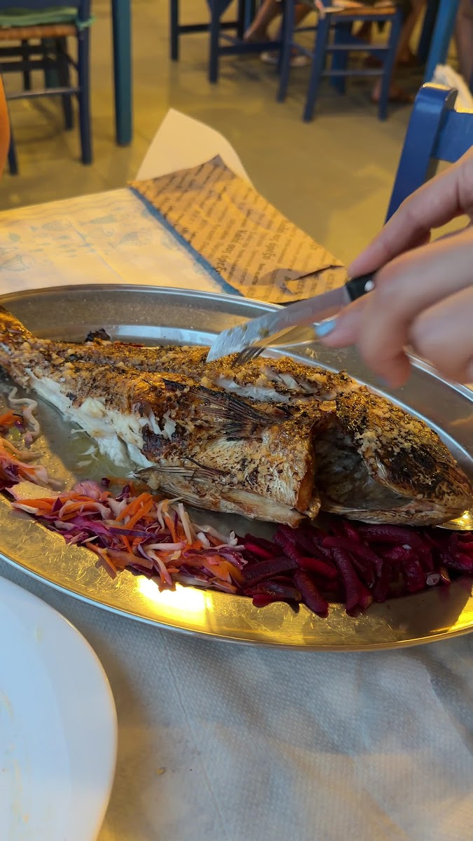 Yamas Mario — photo 3
