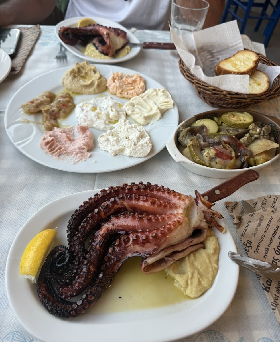 Yamas Mario — photo 5