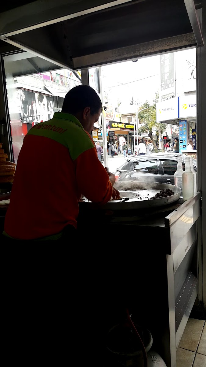 YAPRAK TANTUNİ — photo 3