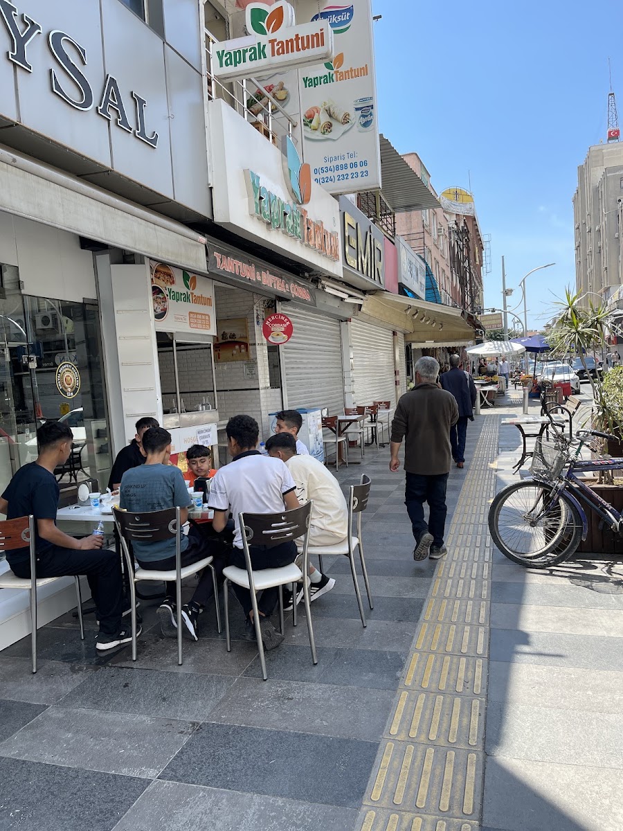 YAPRAK TANTUNİ — photo 5