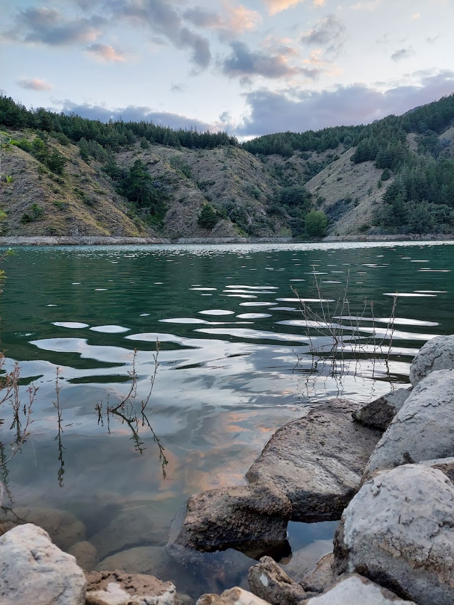 Yapraklı Belediyesi Yeşil Gölet Tesisleri Mesire Alanı — fotoğraf 4