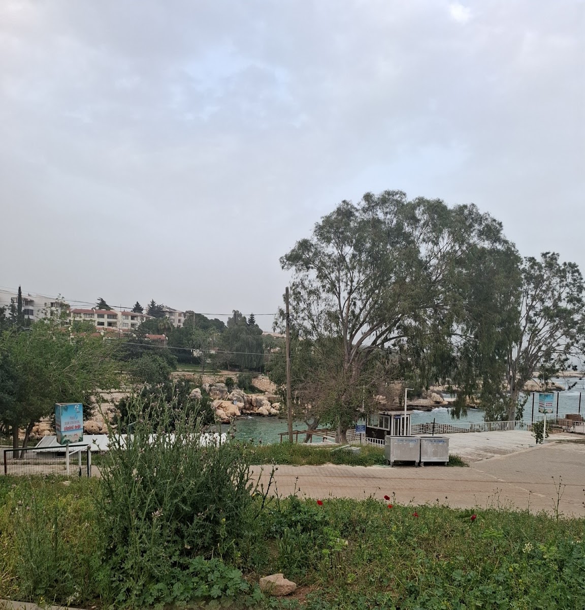 Yapraklı Koy Plajı — fotoğraf 2