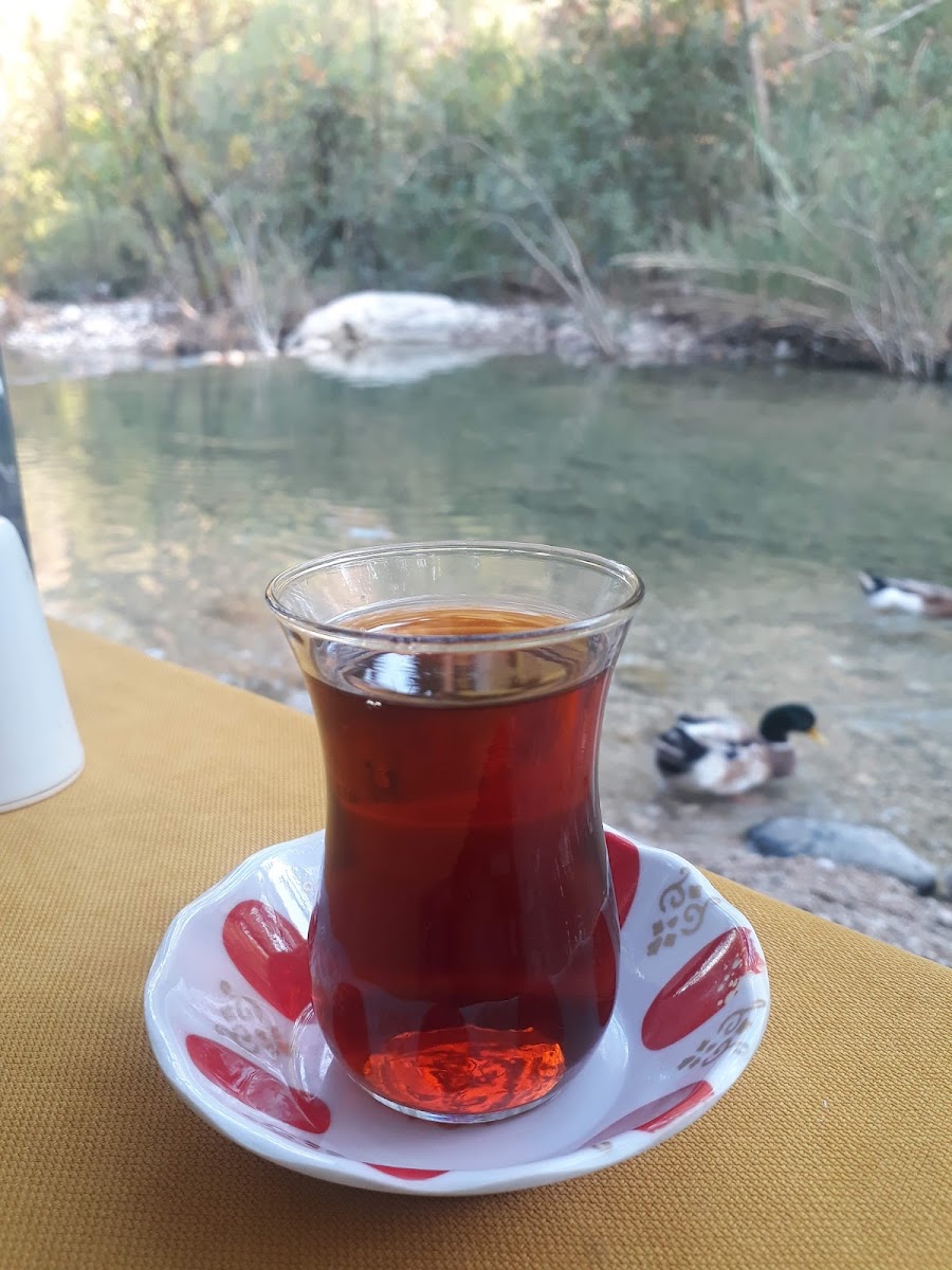 Yarıkpınar Meydan Restaurant — photo 11