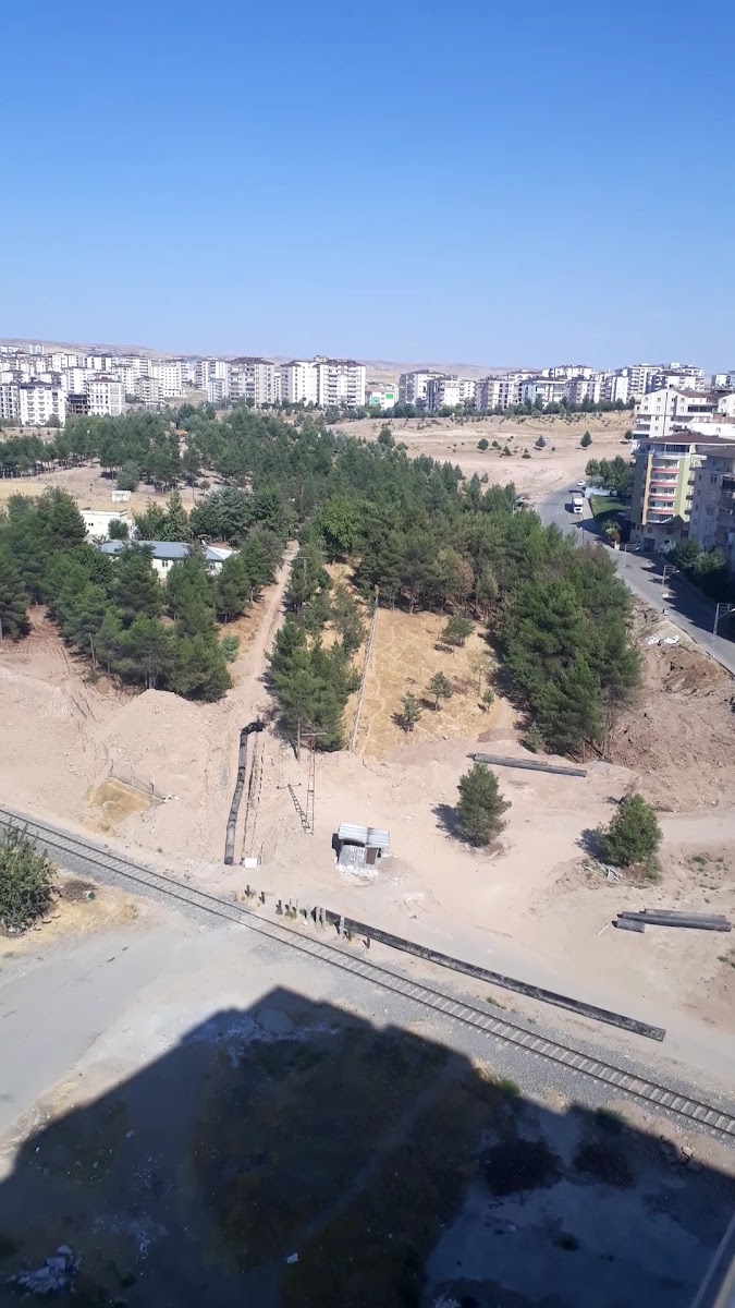 Yaşar Kemal Kent Ormanı — fotoğraf 3