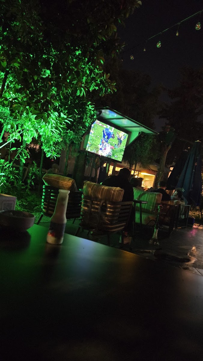 Yasemin Lychee — fotoğraf 2