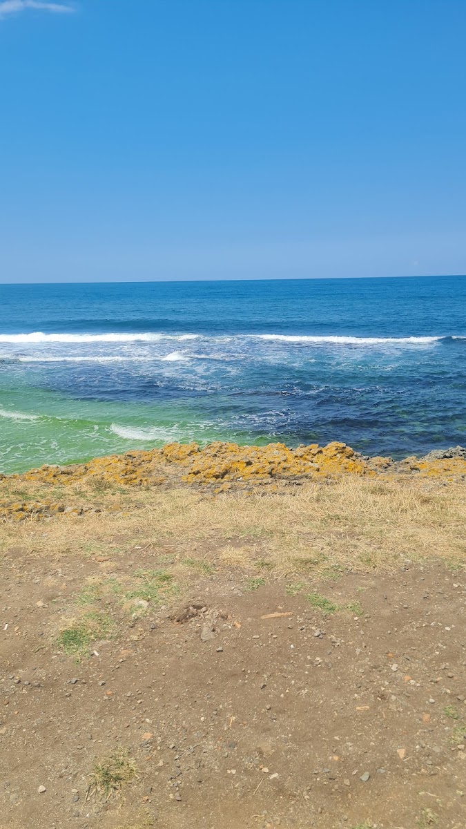 Yason Burnu Feneri — fotoğraf 2