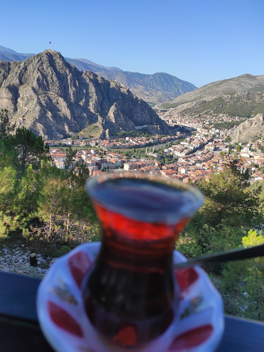 Yavuz Acar Hatıra Ormanı — fotoğraf 2