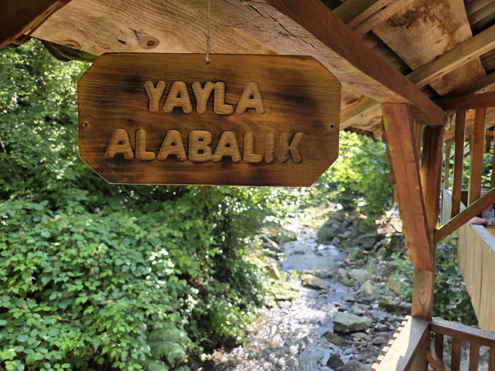 Yayla Alabalık — fotoğraf