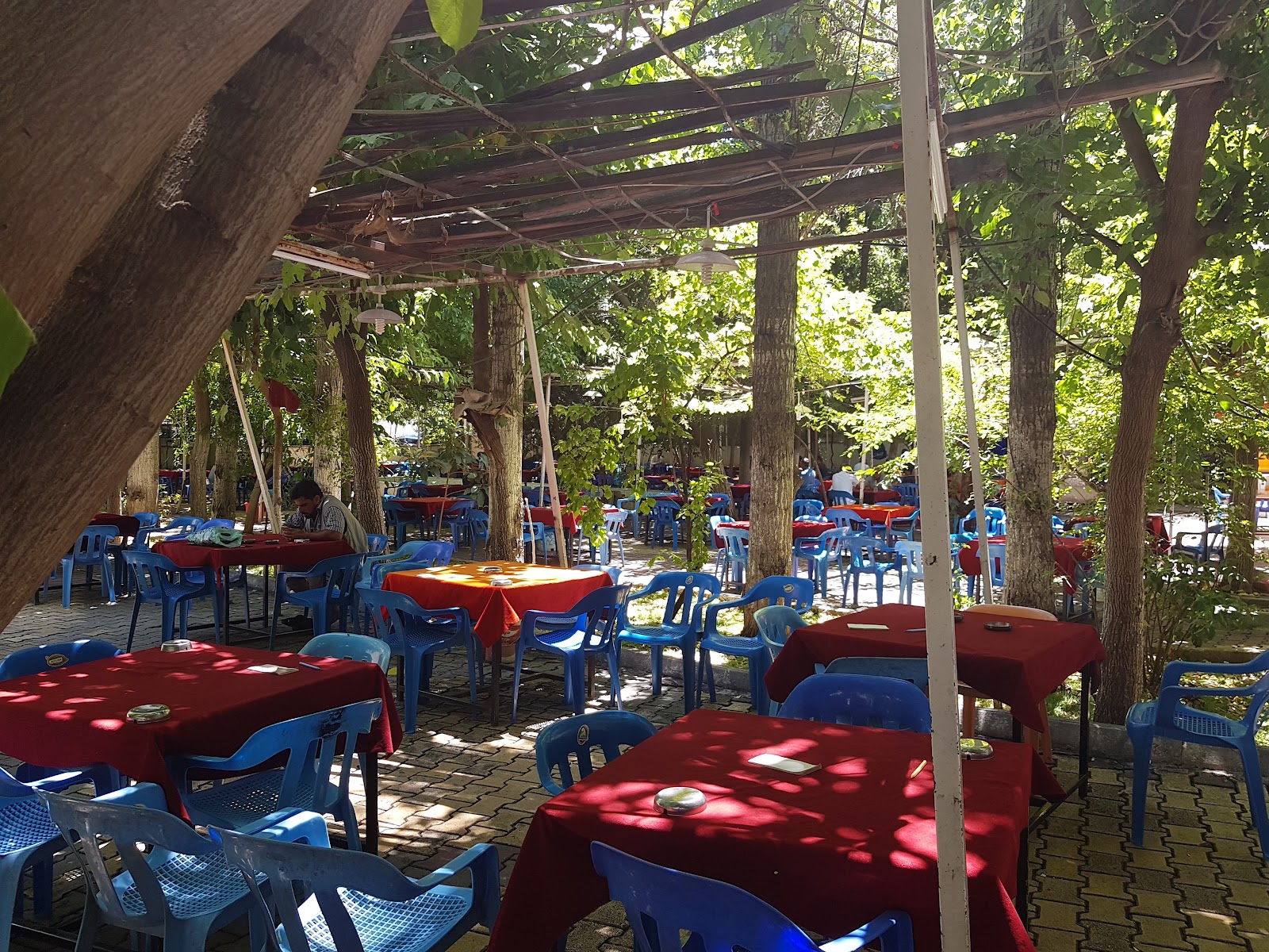 Yayla Çay Bahçesi — fotoğraf 2