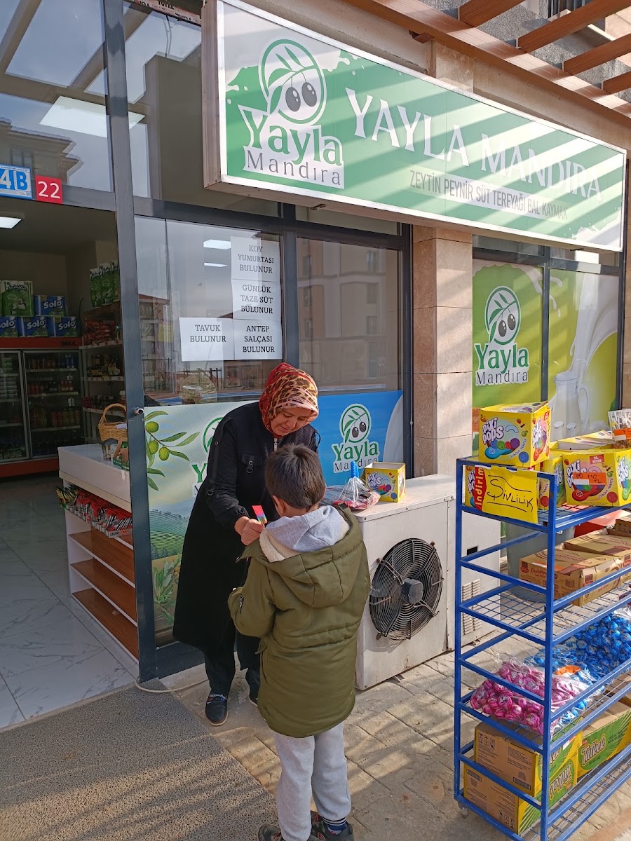 Yayla Market Ardıçlı toki — fotoğraf 2