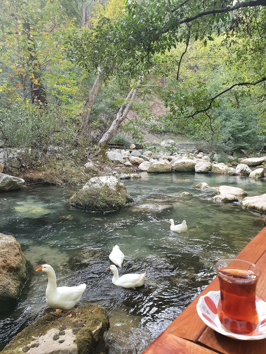 Yazılı Kanyon Tabiat Parkı — fotoğraf 5
