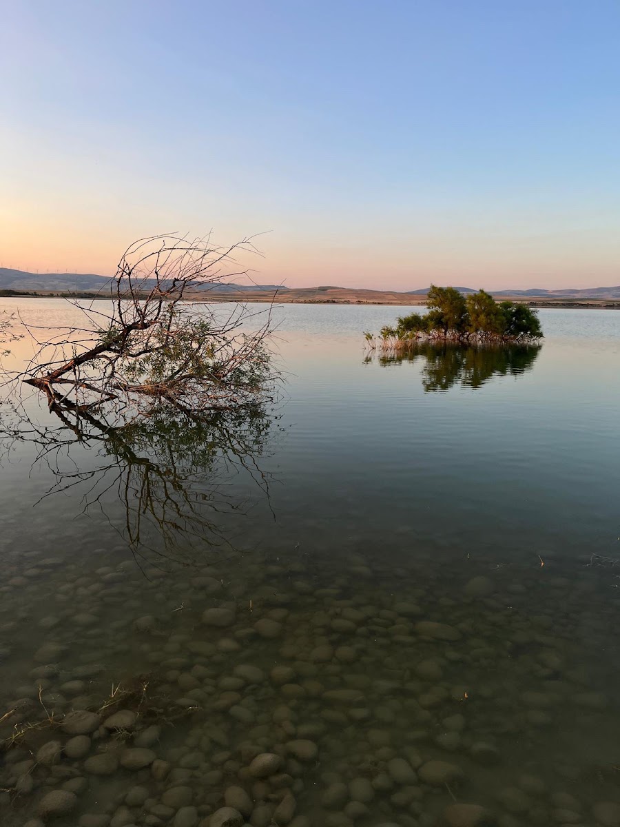 Yedi Kuğular Millet Bahçesi — fotoğraf 2