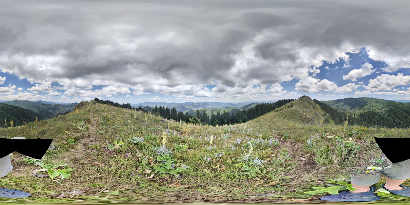 Yedigöller Ayıkayası Tabiat Parkı-Çadırlı Kamp ve Karavan Alanı- Ateşli Piknik Alanı — fotoğraf 4