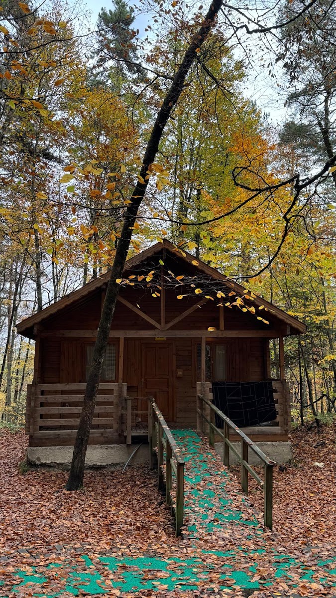 Yedigöller Milli Parkı Kamp Alanı — fotoğraf 1