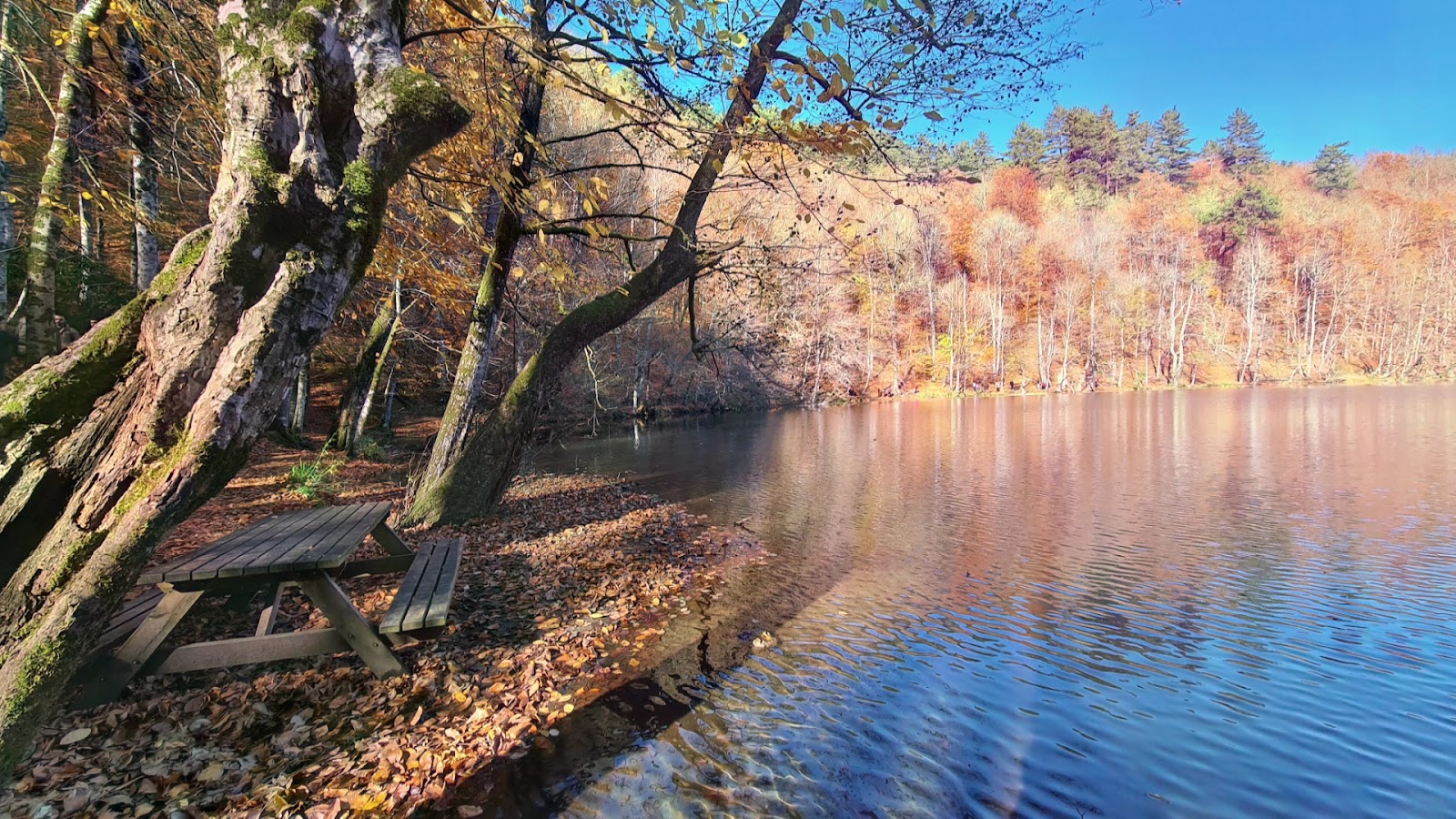Yedigöller Milli Parkı Kamp Alanı — fotoğraf 8
