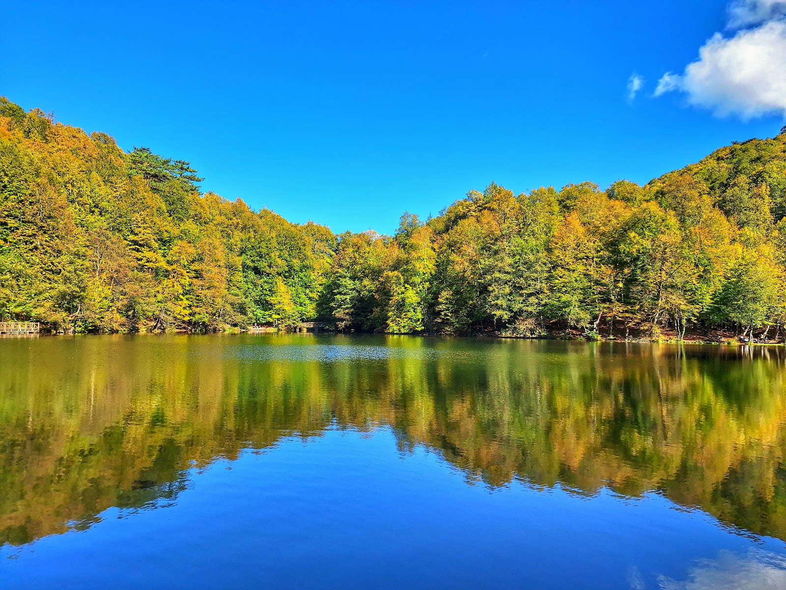 Bolu: Yedigöller millî parkı ve yayla