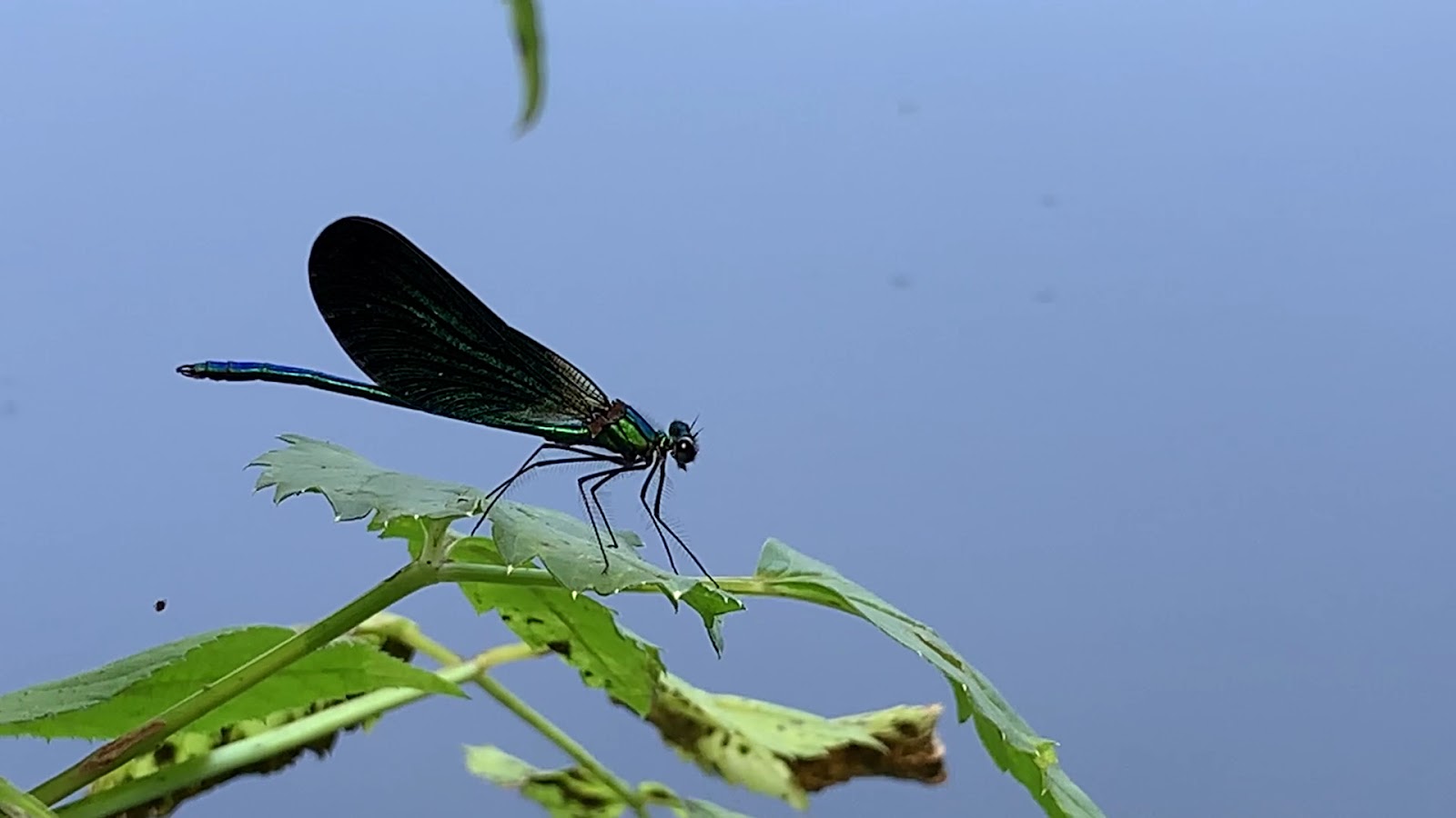 Yedigöller Milli Parkı — fotoğraf 3