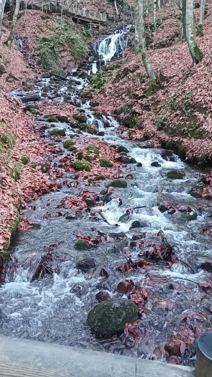 Yedigöller Şelalesi — fotoğraf 2