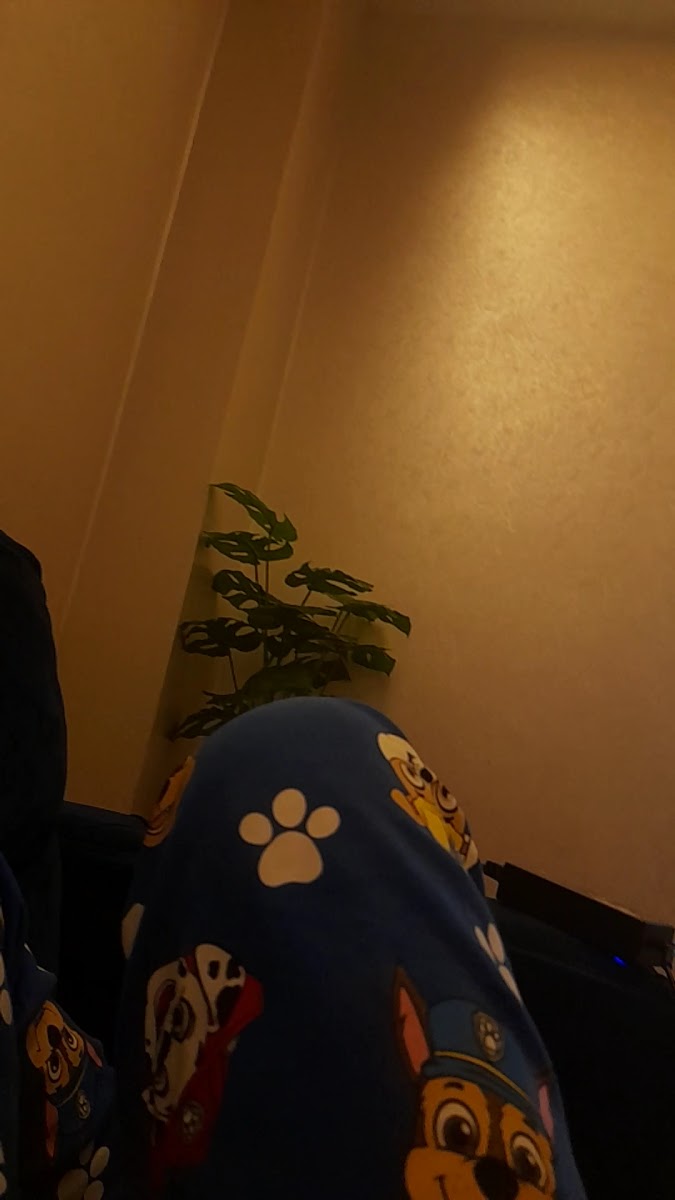 Yediler Cami — fotoğraf 2