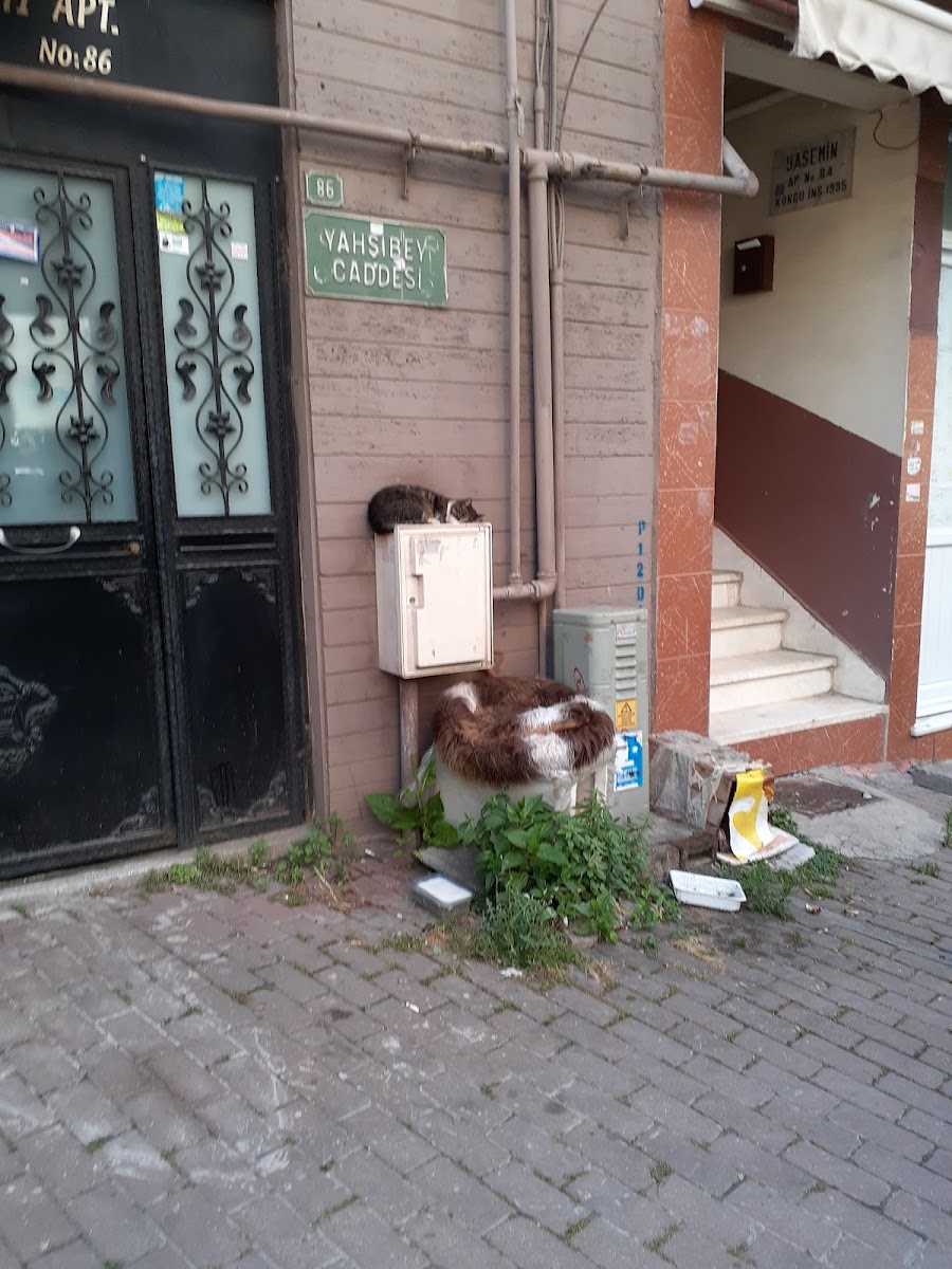 Yeni Kaplıca — photo 3