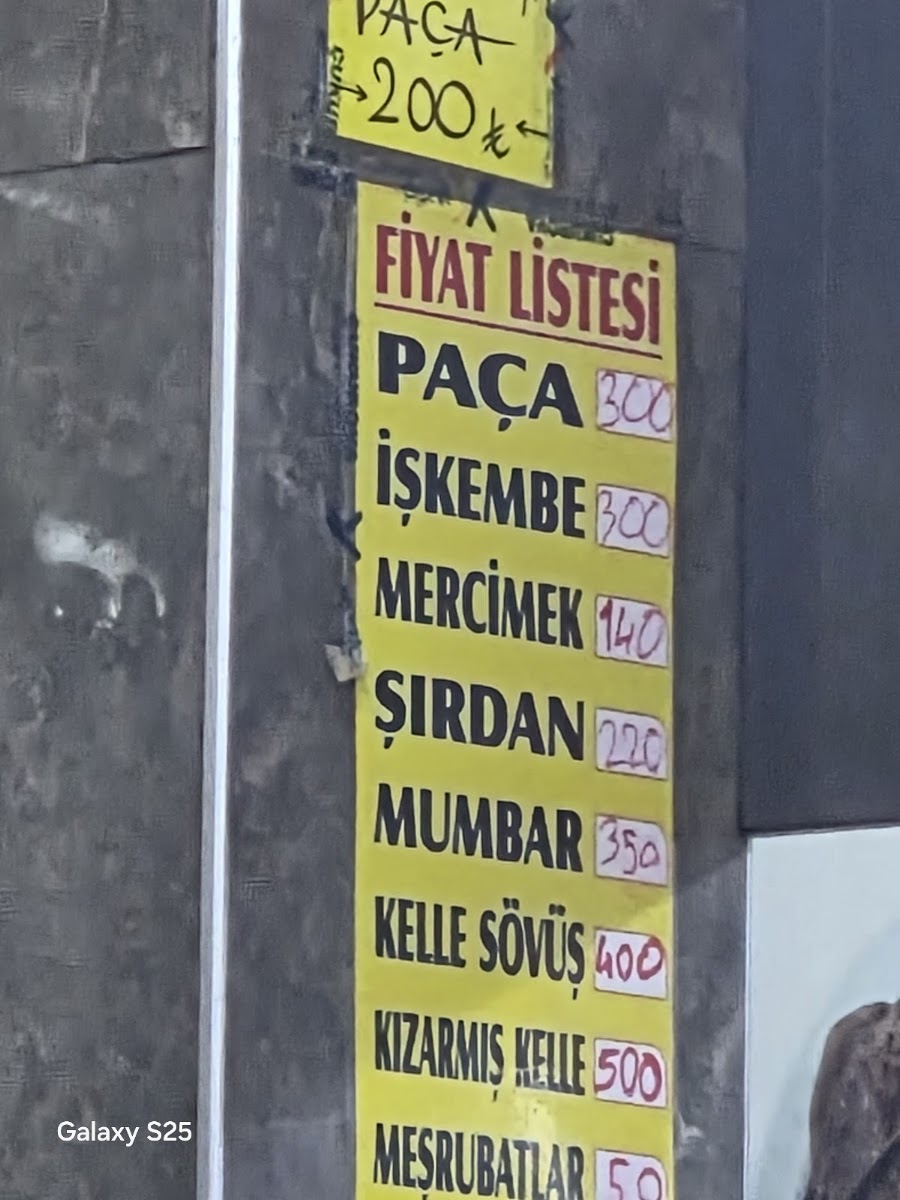 Yeni Seyhan Paça Salonu — photo 2