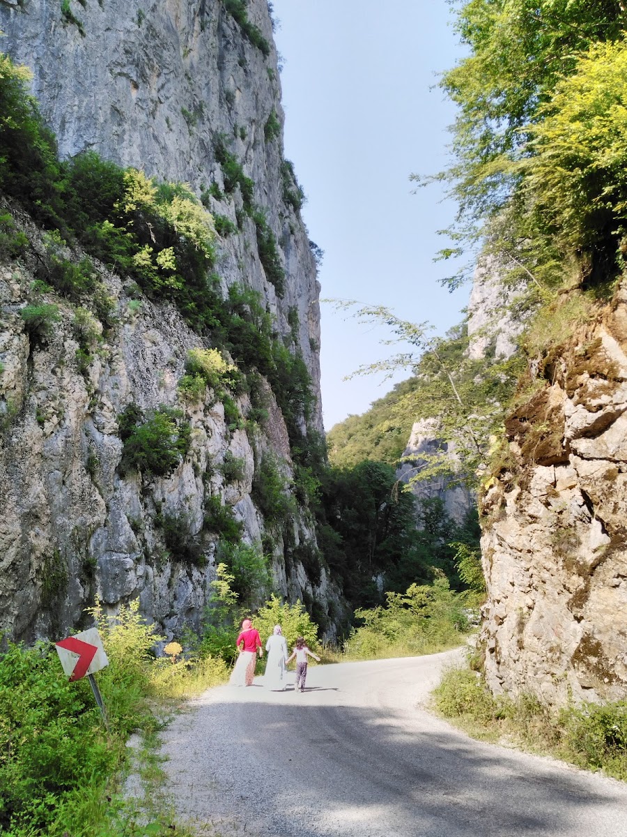 Yenice Kent Ormanı — fotoğraf 2