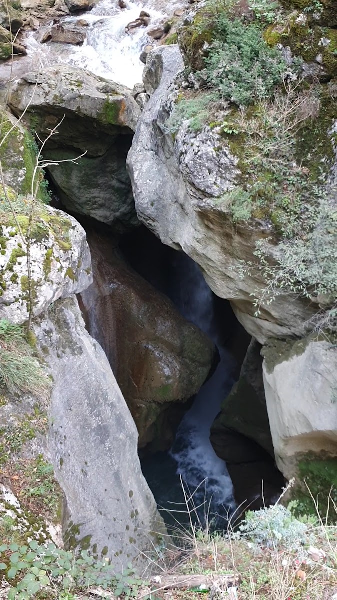 Yenice Kent Ormanı — fotoğraf 3