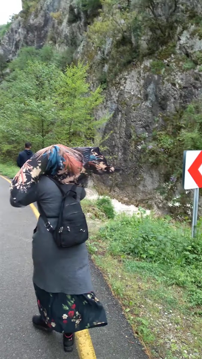 Yenice Kent Ormanı — fotoğraf 4