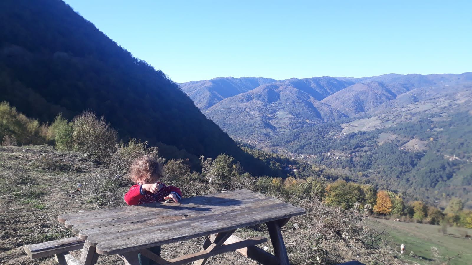 Yenice Kent Ormanı — fotoğraf 5