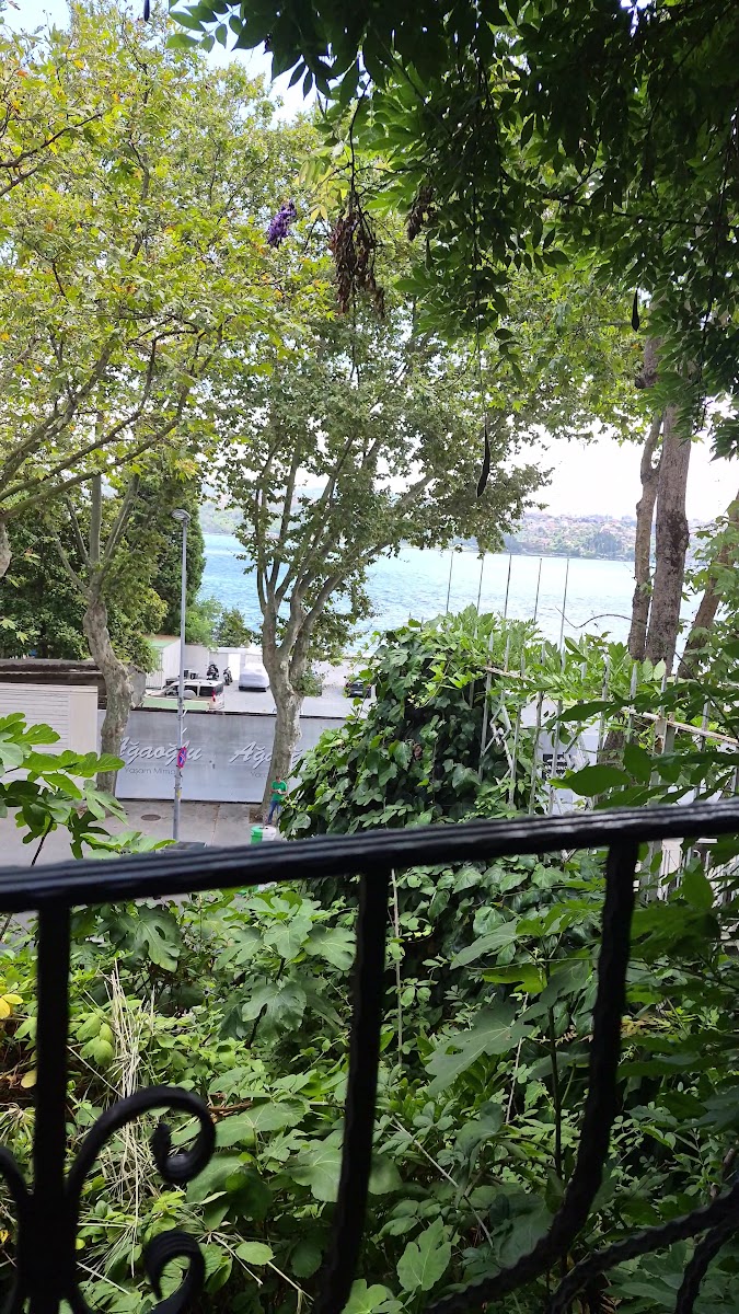 Yeniköy Kahvesi — photo 3
