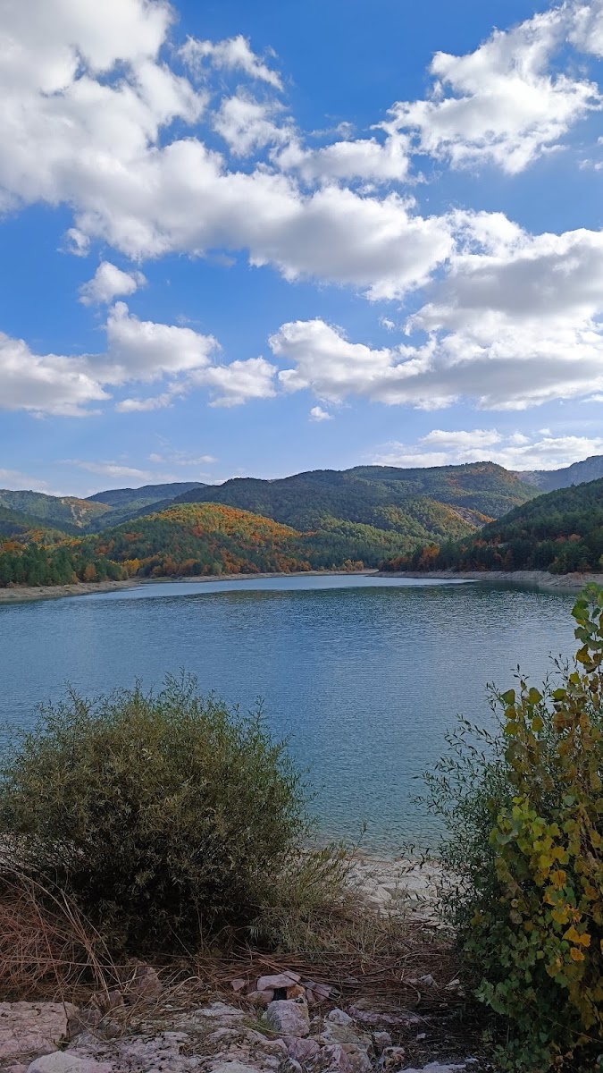 Yenipazar Göleti — fotoğraf 2