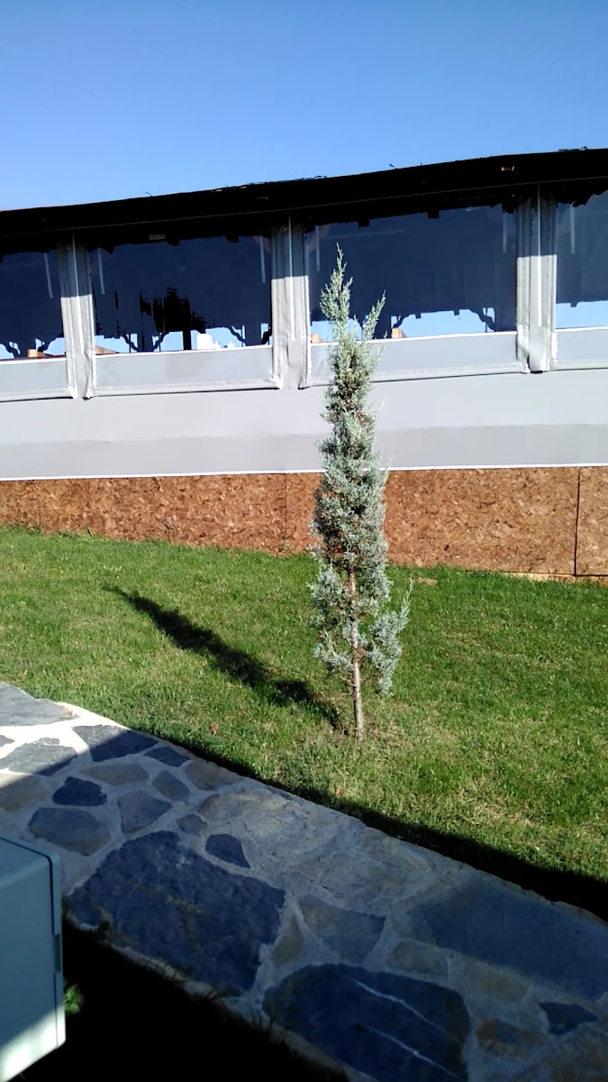 Yeşil Cennet Bahçesi — fotoğraf 3
