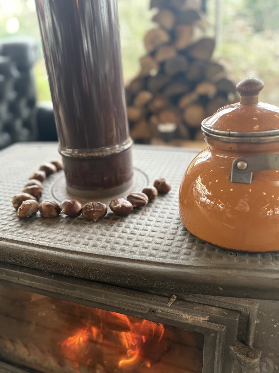 Yeşil Orman Kahvaltı - Izgara - Pide — fotoğraf 3