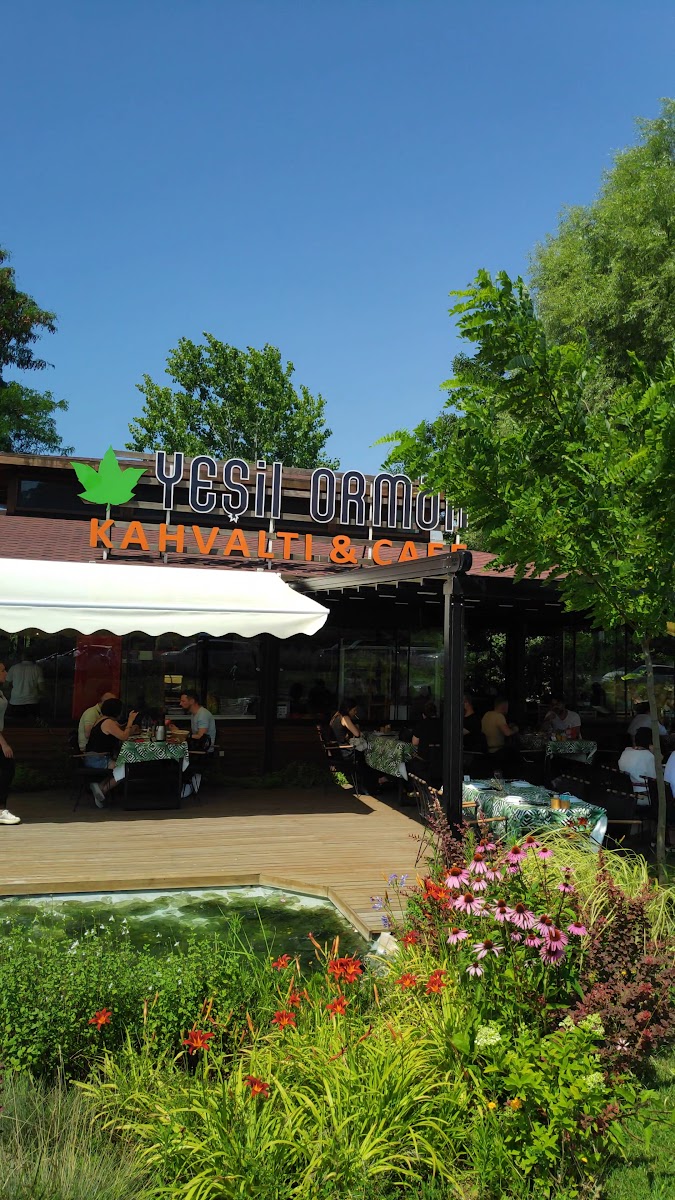 Yeşil Orman Kahvaltı - Izgara - Pide — fotoğraf 4