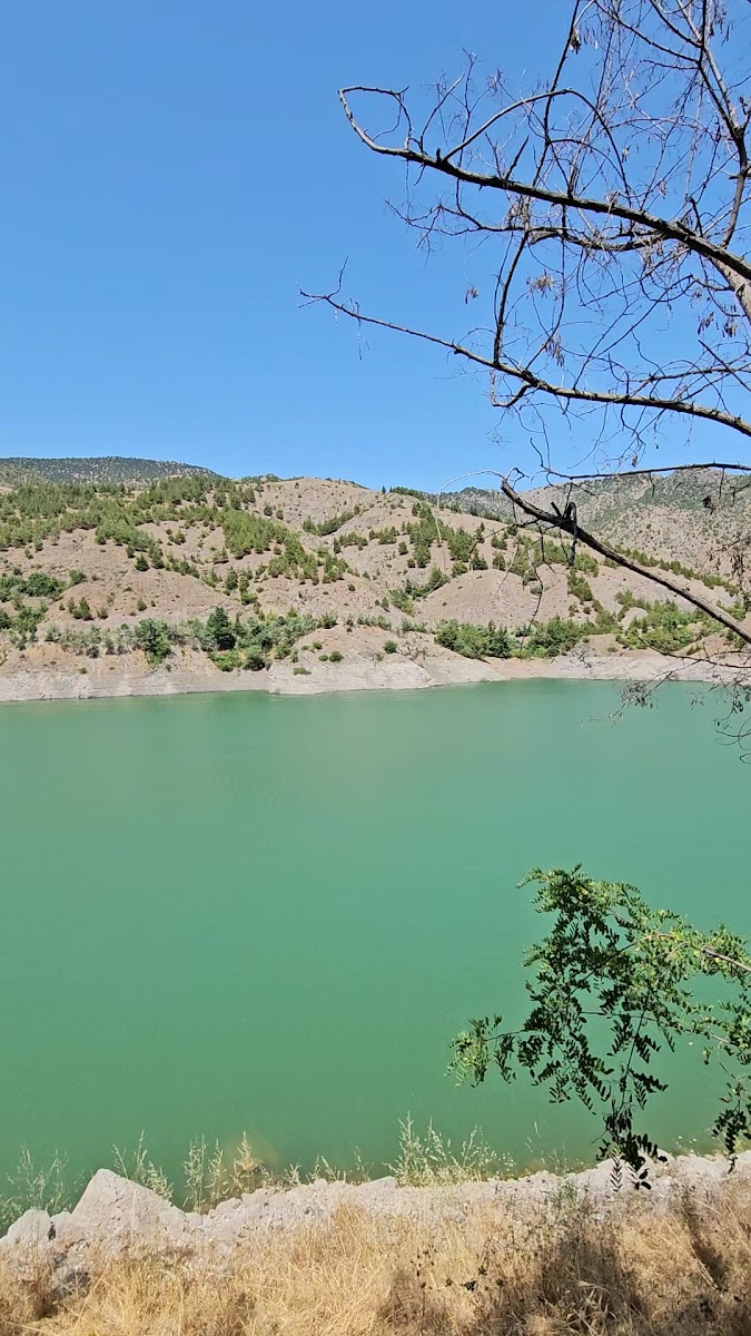 Yeşil Vadi Amasya Ziyaret Sosyal Tesisleri — fotoğraf 3