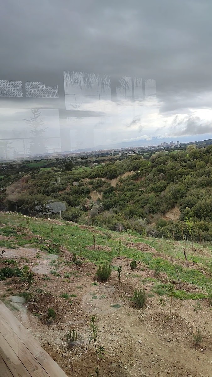 Yeşilçam Bahçe — fotoğraf 3